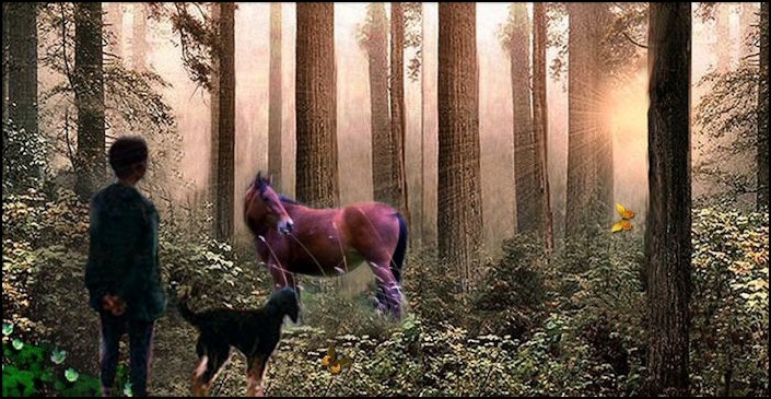 Penelope, dog, horse, butterly in woods with streaming light